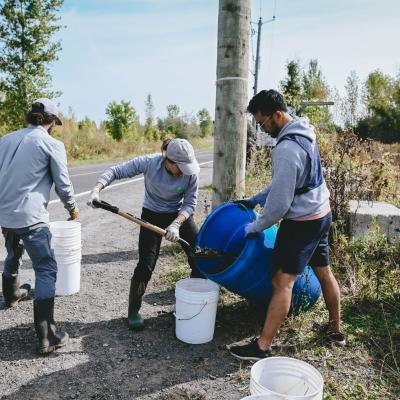 Sr 2023 Cogeco 225 1