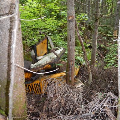 B6f0479ae87d244975439c6124592772